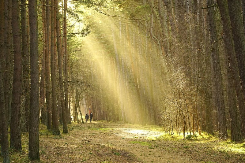 Meditative Walk